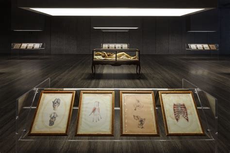 fondazione prada cere|Fondazione Prada, Le Cere Anatomiche in mostra .